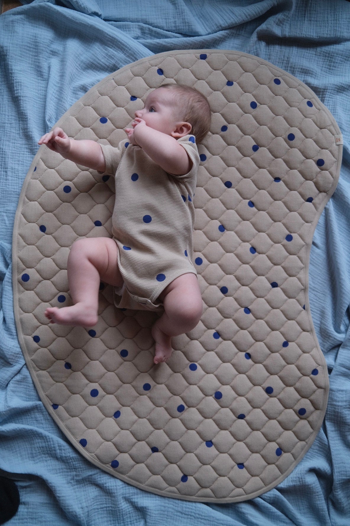 BLUEBERRY WAFFLE PLAY MAT